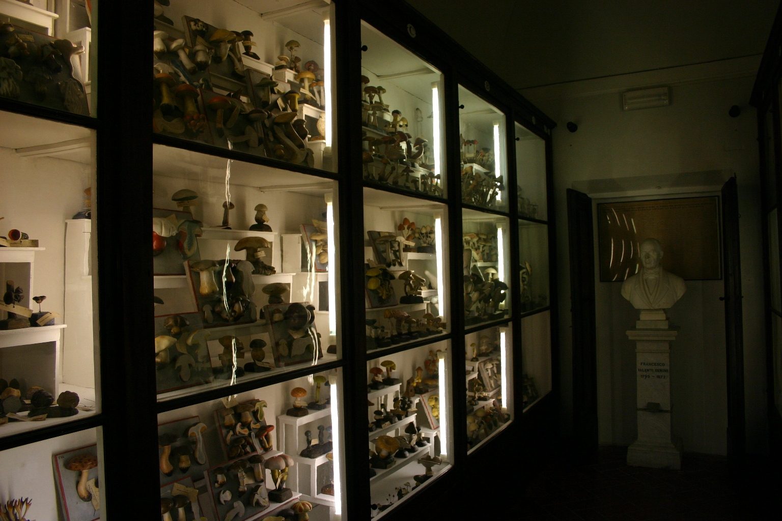 Sala Francesco Valenti Serini, Accademia dei Fisiocritici, Siena, Italy - 01.JPG